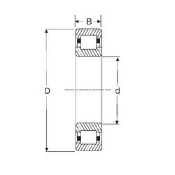 Cylindrical Roller Bearings Distributior NUP 208 SIGMA