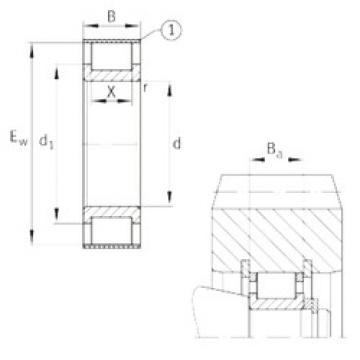 cylindrical bearing nomenclature RSL182313-A INA