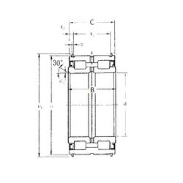 cylindrical bearing nomenclature SL04-5019NR FBJ