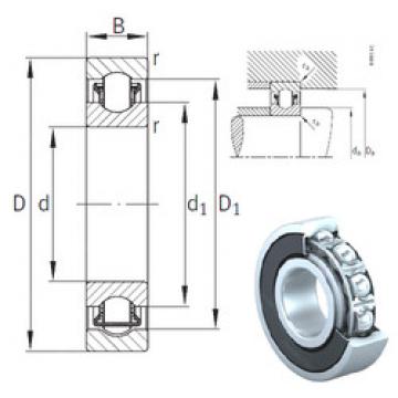 needle roller thrust bearing catalog BXRE009-2RSR INA