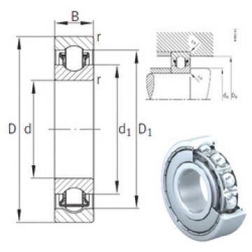 needle roller thrust bearing catalog BXRE005-2Z INA