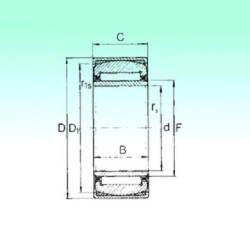 Needle Roller Bearing Manufacture PNA 20/42 NBS