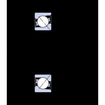 Angular Contact Ball Bearings 7203 BE-2RZP SKF