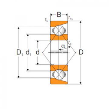 Angular Contact Ball Bearings 7203AP MPZ