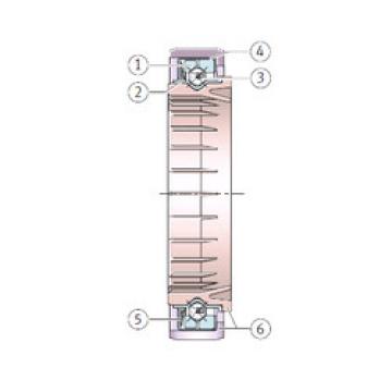 angular contact ball bearing installation F-204040.1 INA