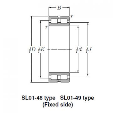 SL Type Cylindrical Roller Bearings NTN SL01-4838