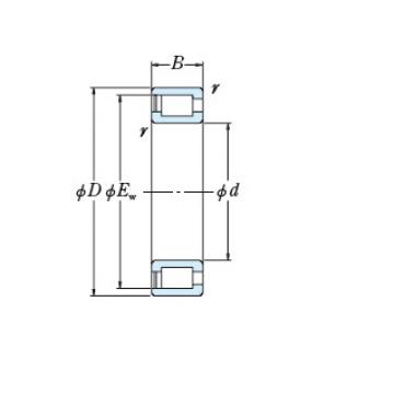 FULL-COMPLEMENT CYLINDRICAL ROLLER BEARINGS JAPAN NNCF4896V