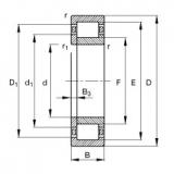 Cylindrical Roller Bearings Distributior NUP2344-EX-TB-M1 FAG