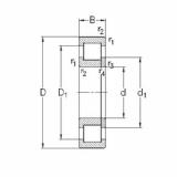 Cylindrical Roller Bearings Distributior NUP2309-E-MPA NKE