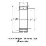 SL Type Cylindrical Roller Bearings NTN SL01-4840