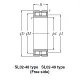 SL Type Cylindrical Roller Bearings NTN SL01-4960