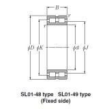 SL Type Cylindrical Roller Bearings NTN SL01-4838