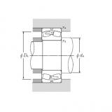 Spherical Roller Bearings JAPAN 21320