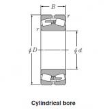 Spherical Roller Bearings JAPAN 22338B